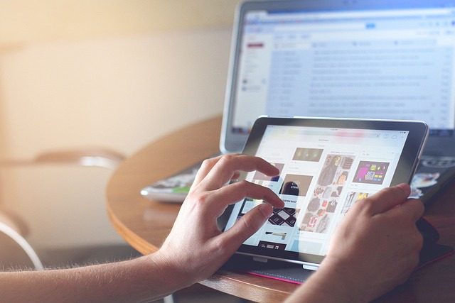 Le commerce électronique en ligne