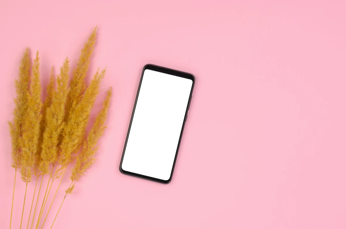 Régulations de la publicité en ligne : quels impacts sur le ciblage d'audience ?